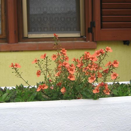 Apartment Meridiana Rovinj Exterior foto